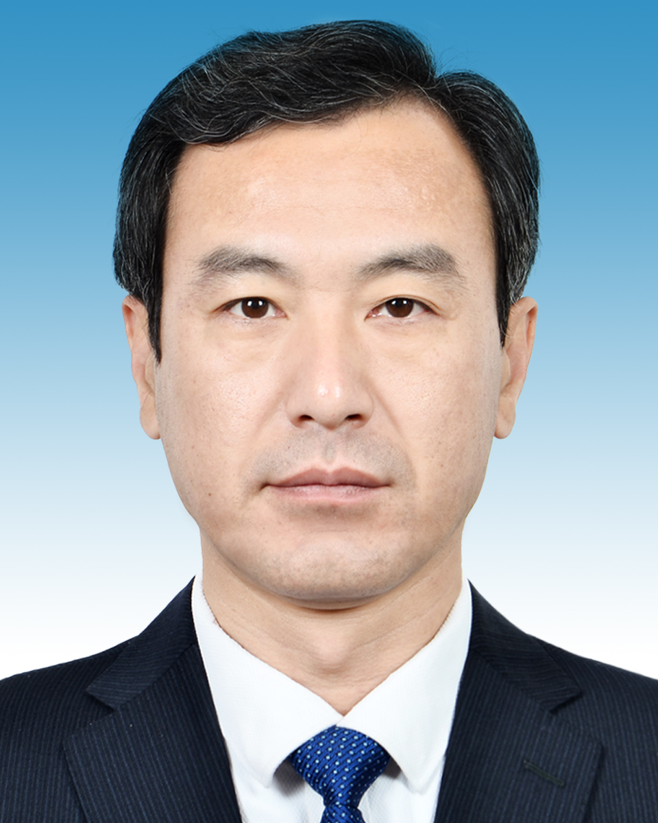 宁辉(泗店镇党委副书记,镇长)
